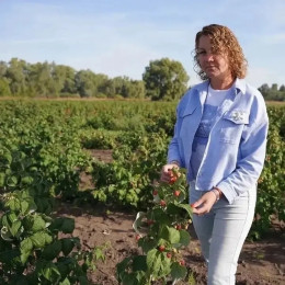 "Не жизнь, а малина" - расскажем, как бывшему юристу удалось создать ягодное царство 