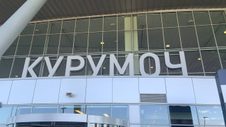 Самарские таможенники изъяли у авиапассажиров более 200 кг опасных продуктов