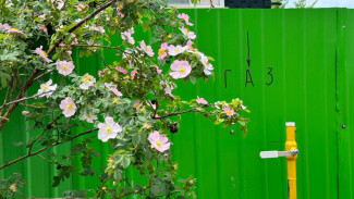  В Жигулевске Самарской области газифицировали садоводство