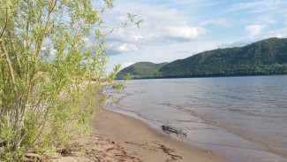 На Грушинской поляне в Самарской области выступят Лоза, Ромарио, Козловский