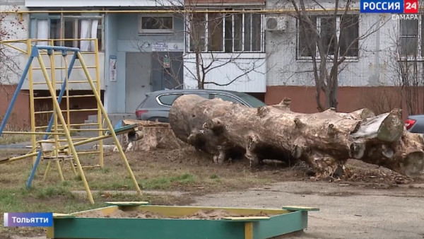 В новом выпуске программы «Территория порядка» проверили на чистоту улицы Тольятти