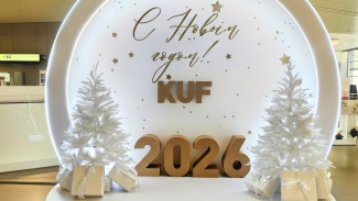  В самарском аэропорту «Курумоч» оборудовали новогоднюю фотозону 