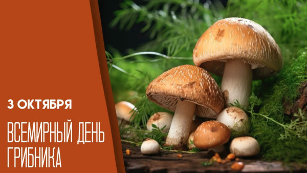 3 октября — Всемирный день грибника: делимся эксклюзивными открытками!