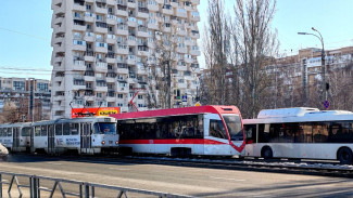 Многодетным семьям Самары в апреле выдадут карты на бесплатный проезд