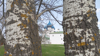 Великий вторник: что нельзя делать 30 апреля во второй день Страстной Седмицы