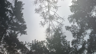 На Самарскую область 21 июля обрушатся грозы