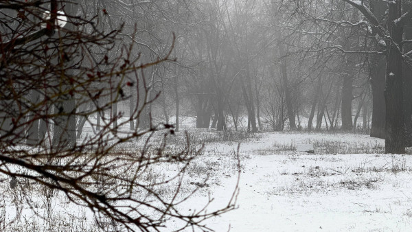 Погодная опасность из-за ветра объявлена в Самарской области 27-28 декабря
