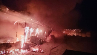 Под Самарой сгорела ферма вечером 25 января: фото