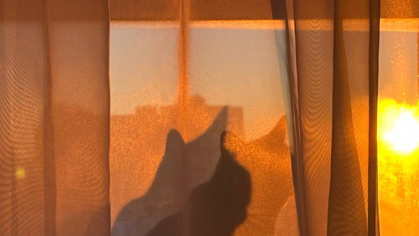 В Самаре резко потеплеет до +1 градуса и пойдет снег с дождем