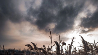 Гороскоп на сентябрь 2024: ретроградный Сатурн нанесет сокрушительный удар по 7 знакам зодиака