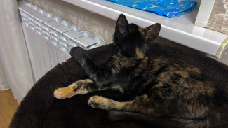 Два дома в Кировском и Октябрьском районах Самары остаются без отопления