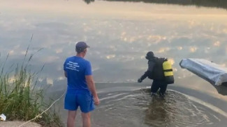 Мужчина утонул в озере Тростянка под Самарой