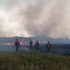 В Самарской области потушили ландшафтный пожар в Красноярском лесничестве 