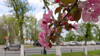 День Бориса и Глеба: сделайте это 15 мая, чтобы не потерять деньги