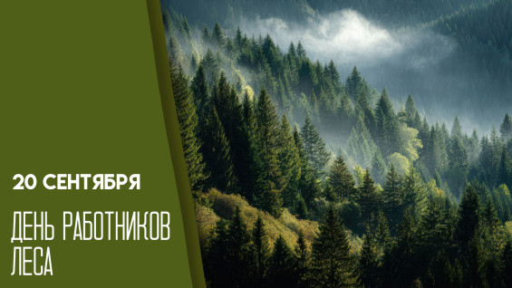 20 сентября — День работников леса: история и традиции празднования