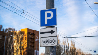 Самарцам рассказали, из-за чего может быть ограничен въезд в Россию для иностранцев