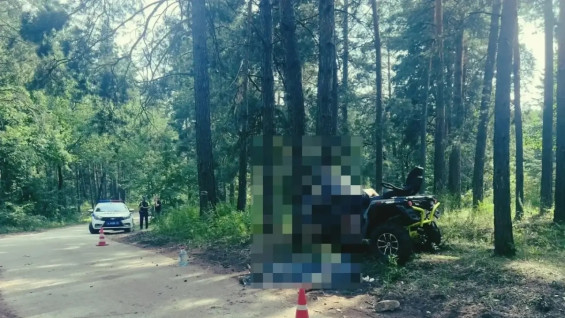 В Самарской области квадроциклист погиб врезавшись в дерево 25 июля 