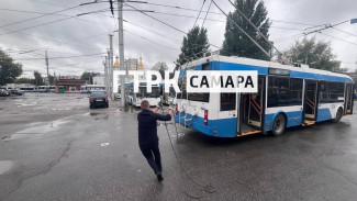 Не уронил бабушку: лучший в стране укротитель "рогатых" живёт в Самаре