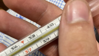 В Самарской области началась вакцинация от гриппа