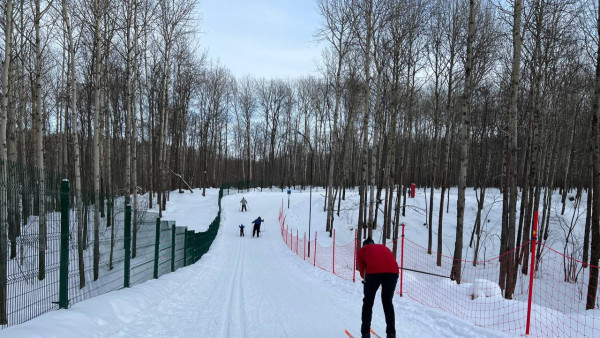 В поселке Управленческий Самары хотят восстановить горнолыжную базу
