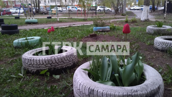В Самаре зацвели первые тюльпаны утром 21 апреля: город скоро наполнится яркими красками