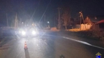 Полиция рассказала, кого насмерть сбила Lada Kalina под Самарой