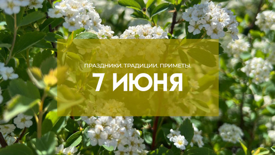 7 июня - Иванов день: почему запрещено детям находиться под «медвяной росой»