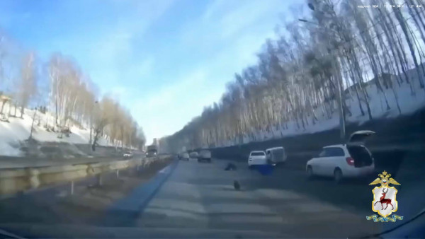 Мигрант сбил насмерть человека в Нижнем Новгороде и скрылся в Самаре