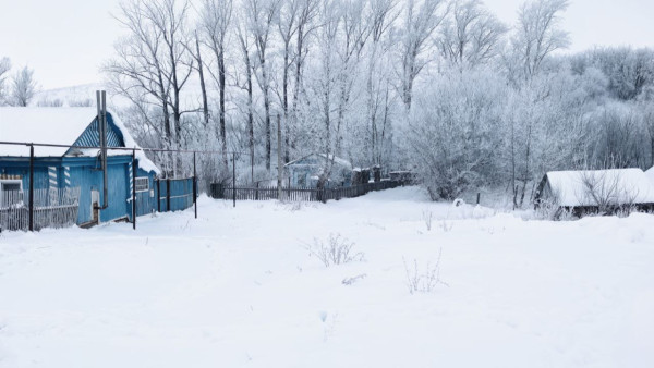 В 25 км от Самары обнаружили очаг смертельно опасного заболевания
