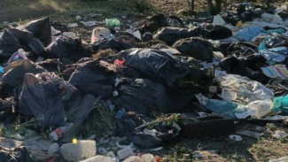 Самарцы не могут выйти во двор с детьми из-за огромной свалки