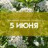 Народные приметы: 5 июня. Почему в день Левона Огуречника нельзя мыть голову