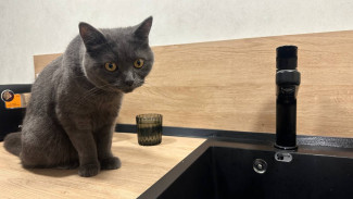 В Самаре на ряде улиц отключат холодную воду 21 и 22 января