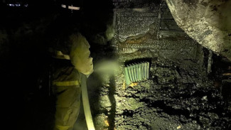 В Самарской области 14 января в охранной будке СНТ заживо сгорел человек