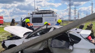В Самарской области на машину упала опора ЛЭП
