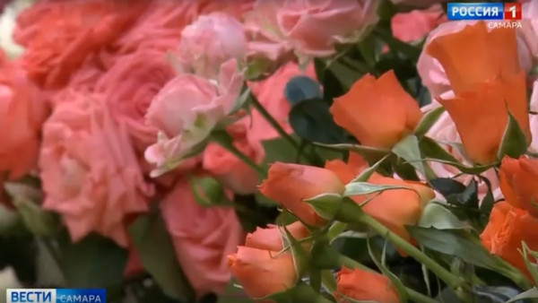 Самарцам рассказали, как на языке цветов выразить благодарность и уважение воспитателю и педагогу 