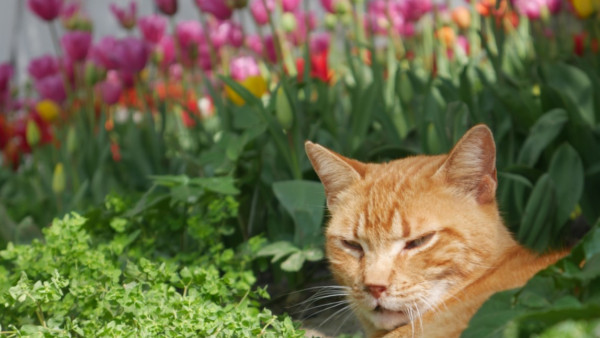 Гороскоп на 25 сентября 2025 года: день кармических уроков и возможностей