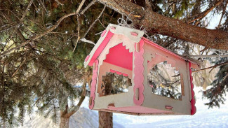 Народные приметы 3 марта: как раскидать хлеб на Филю Вешнего, чтобы привлечь счастье