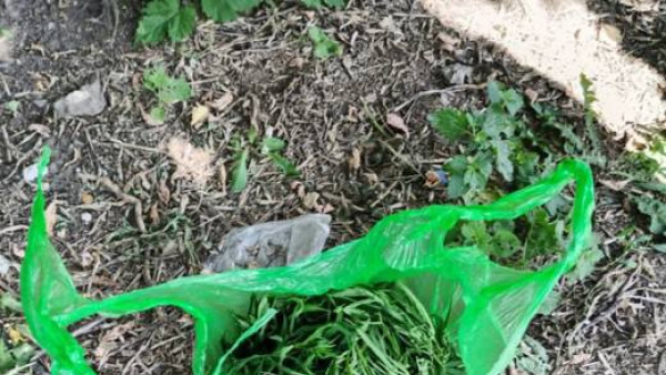 В Самарской области поймали специалиста по лестницам с "дичкой"