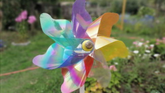 День Арины Капустницы:  сделайте это 18 мая, чтобы в семье было счастье 