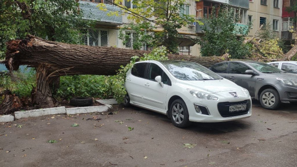 Огромное дерево рухнуло на автомобили в одном из дворов Самары