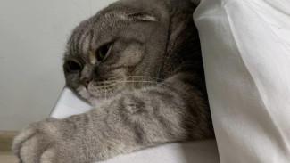 В Самаре с 1 октября начнут подключать отопление в многоквартирных домах