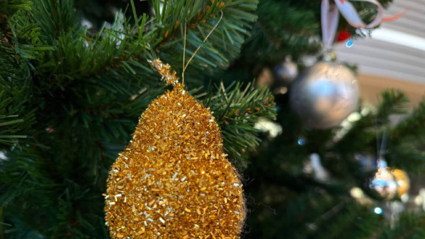 Музеи Самары откроют свои двери для бесплатного новогоднего марафона