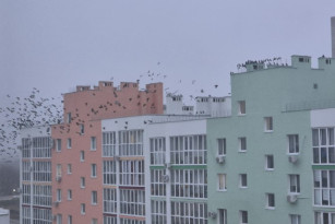 В выходные, 20 и 21 декабря, в Самарской области будет морозно и скользко