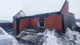 Под Самарой сгорели сразу две частные бани