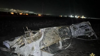 В Тольятти в Toyota Camry заживо сгорели 41-летний водитель и его пассажир