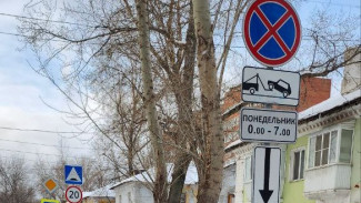 Самарских водителей попросили срочно убрать автомобили с дороги