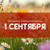 Самый жуткий грех! Что запрещено в день памяти Феклы, Тимофея и Агапии Газских 1 сентября