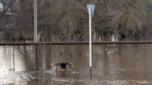 Жителей Самары предупредили, кого может подтопить паводок в городе