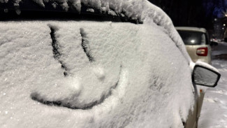 Синоптики рассказали самарцам о погоде в последние выходные 2025 года