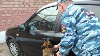 В Самарской области задержали 35-летнего жителя Сургута с наркотиками